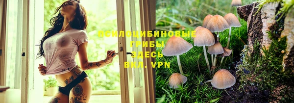 прущая мука Абинск