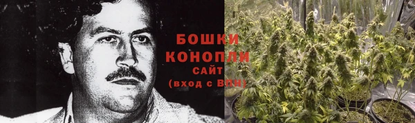 шишки Переславль-Залесский